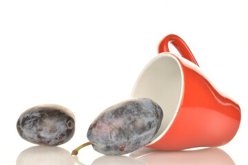 Several ripe organic Damson plums, close-up, isolated on white.