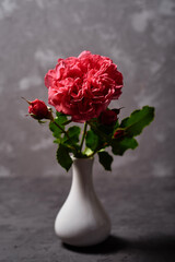 Pink rose in white vase on gray concrete table at home, copy space. Valentines day, mothers day, birthday