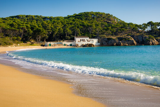 View of the northern area of ​​the protected urban beach of Castell de Palamos on a deserted sunny autumn day. Costa Brava, Catalonia, Spain