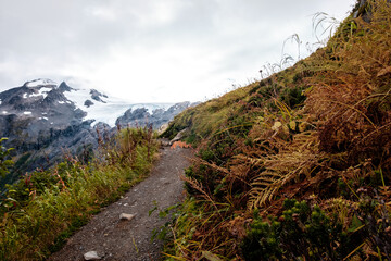 Hike to the Exit glacier, Kenai, Alaska, USA.
