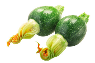 Baby Tondo zucchini with flower  isolated