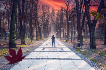Autumn park alley with beautiful sunrise sky. Fall scene in city park with autumn leaves, trees and man walking on path.