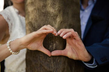 Braut und Bräutigam formen mit ihren Händen ein Herz an einem Baum