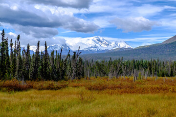 McCarthy Road view, McCarthy valley, Wrangell St. Elias National Park, Alaska. Meadow and mountains.