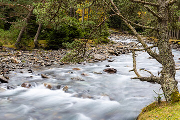 Destination Pyrénées