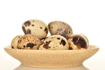 Obraz premium Several fresh quail eggs, close-up, isolated on white.