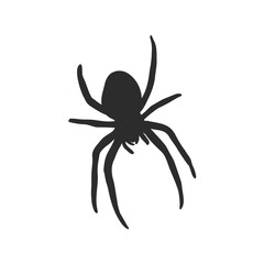 Hand Drawn Spider Illustration - Vector Design Element For Halloween And Other Compositions. spider vector sketch illustration