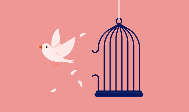White bird break out of cage - A symbol for freedom and breaking free from captivity. Vector illustration.
