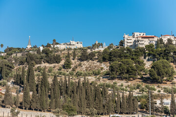 Fototapeta na wymiar Green trees planting in the Kidron Valley or King's Valley and residential houses at the Mount of Oliv in Jerusalem, Israel