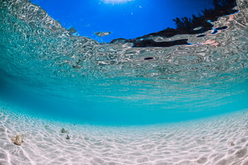 Blue ocean underwater in tropics with sand in Hawaii