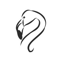 Flamingo sketch vector illustration. Flamingo vector sketch illustration