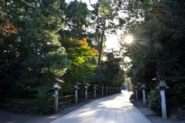 Obraz premium 寒川神社参道に並ぶ灯篭