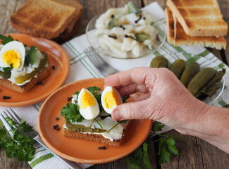 Open sandwiches with rye bread toast with cream cheese, pickled cucumber, salted fish pike and egg with herbs on the background of a toaster, prepared by an elderly woman. Homemade healthy food .