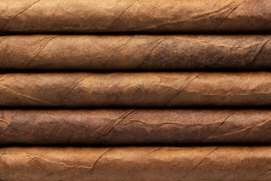 Cigars in a row close-up, brown pipe texture background