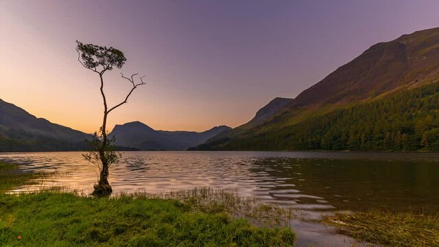 Buttermere lone tree at dawn.Sunrise over mountain lake in Lake District, Cumbria, UK.Tranquil morning landscape scenery.4K nature time lapse video.