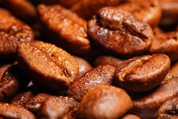 Macro view of fresh roasted Arabica coffee beans isolated on black background, extreme close up photo of fresh coffee beans on dark background.