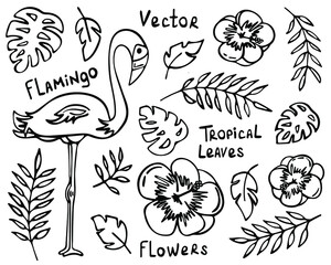 Hand drawn tropical summer doodles. Flamingos, exotic flowers, branches and leaves. Isolated elements on a white background. Vector illustration