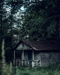 Verlassende Hütte im Wald