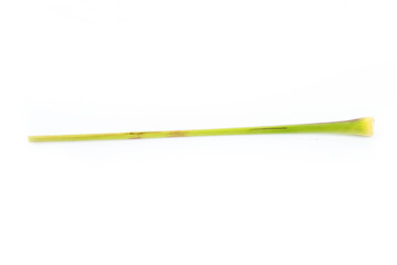 Fresh Lemon grass on a white background