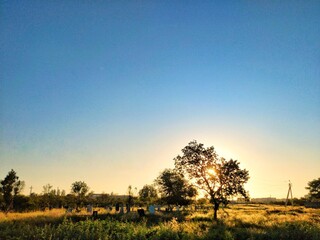 Obraz premium photo