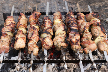 Grilling meat on skewers. Cooking meat barbecue on charcoal grill at picnic. Kebab grilling.