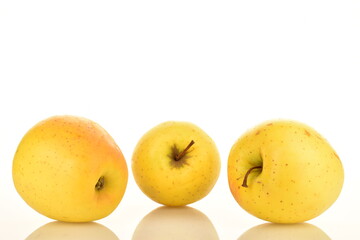 Ripe yellow apples, close-up, isolated on white.