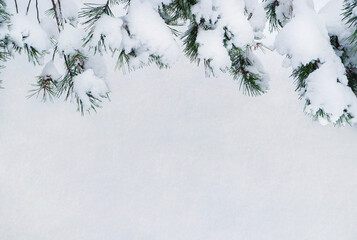 Closeup of Christmas tree with snow background
