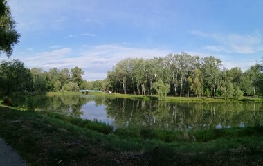 reflection of trees in the water