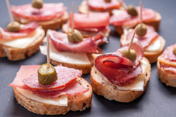 Mini sandwiches food set. Delicious appetizer