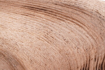 Fototapeta premium beautiful wooden brown driftwood. background