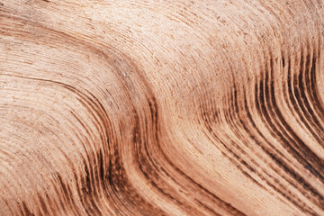 beautiful wooden brown driftwood. background