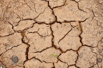 dry cracked earth