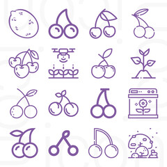 16 pack of orchard  lineal web icons set
