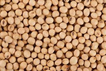 Top view Soybean pattern as for background