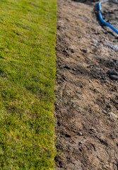 grass from the roll - lawn - gardener's job 