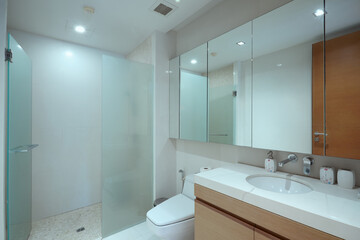 Fototapeta na wymiar view of nice modern style grey color bathroom interior 