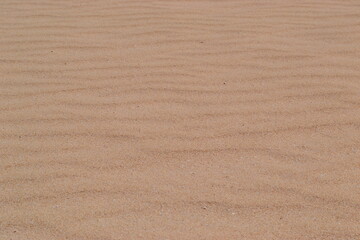 Sand dune Texture