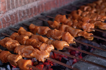 shish kebab on the grill