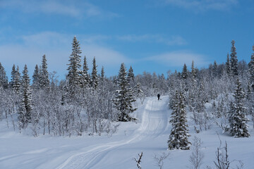 Winter landscapes from Holtaalen, Norway.