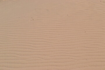 Sand dune Texture