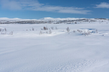 Fototapeta na wymiar Winter landscapes from Holtaalen, Norway.