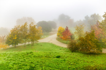 Nature park with fog in autumn
