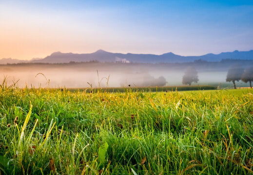 Morgennebel im bayerischen Voralpenland, Bayern, Deutschland