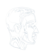 Profile of a handsome man. Vector drawing
