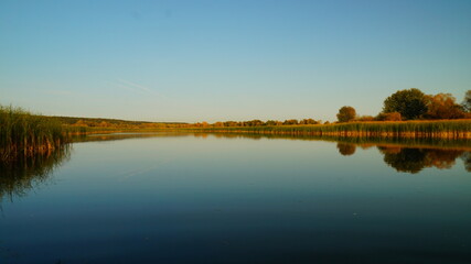reflection of trees in water