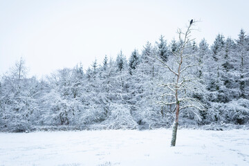 first snow fall in Auchinleck scotland