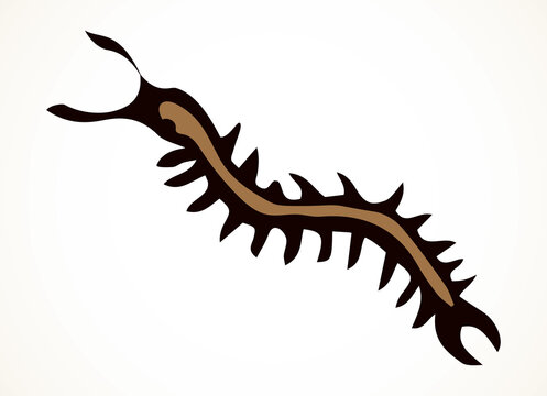 Scolopendra. Vector drawing icon sign