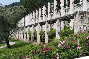 LAGO DI GARDA GARGNANO LOMBARDIA ITALIA