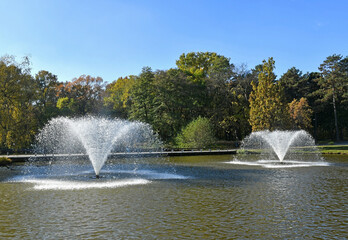 Fountain in the pond at the woods