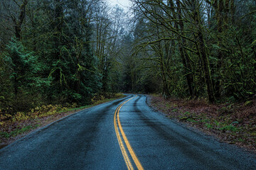 Beautiful View of a Scenic Road in the Green Forest during a rainy fall season day. Taken in Squamish, North of Vancouver, British Columbia, Canada.